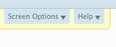 Blog screen options tab