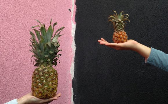 comparing companies concept with pineapples